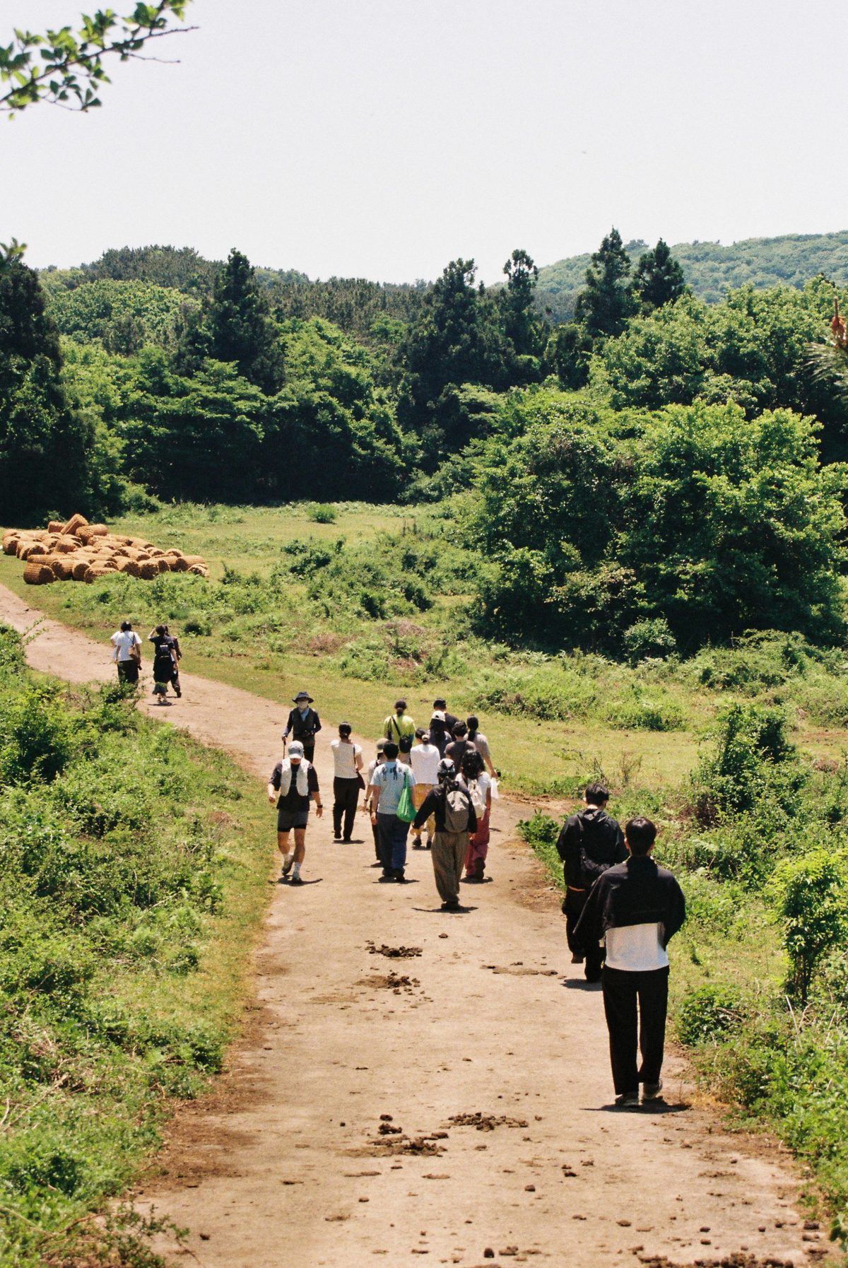Hiking up an Oreum on Jeju during Elliott Tour in May.