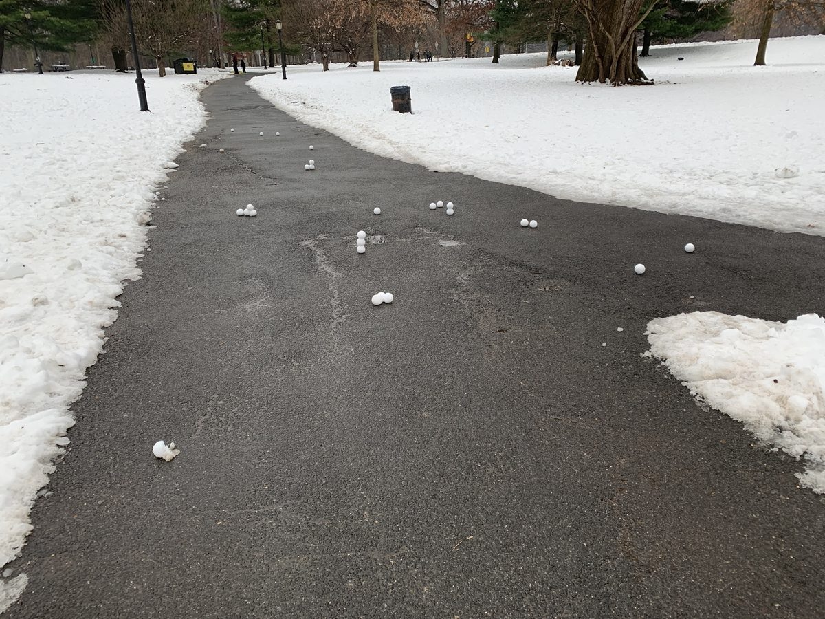 Snow-covered park path with approximately 30 white snowballs scattered across dark pavement, bordered by snow banks and bare trees.